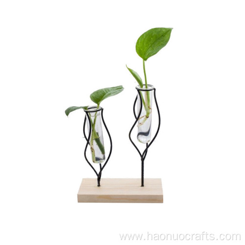 Creative hydroponic plants Plant vase display stand